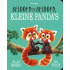 Beloofd is beloofd, kleine panda's (kartonboek)