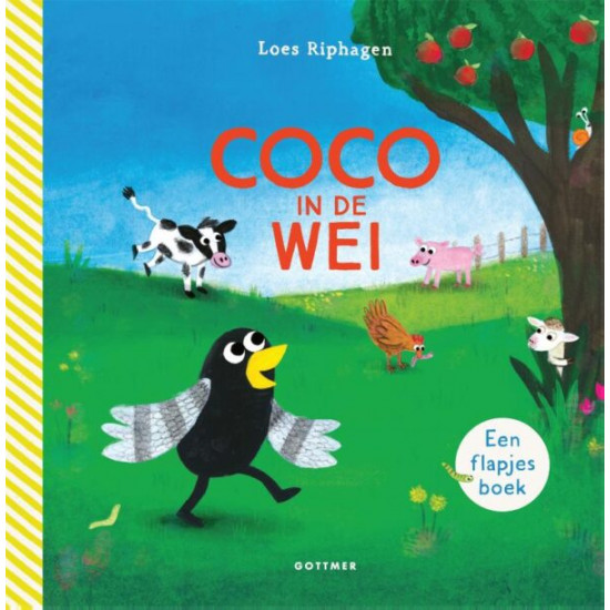 Coco in de wei