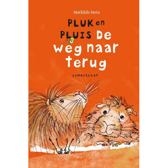 Pluk en Pluis - De weg naar terug