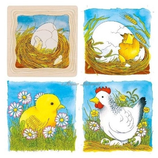 Pakket: Kom maar, kipjes! + knuffeltje + Houten puzzel