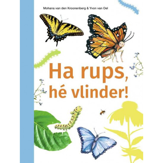 Ha rups, hé vlinder!