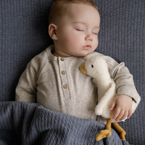 Knuffel little Goose