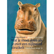 Wat je moet doen als je over een nijlpaard struikelt