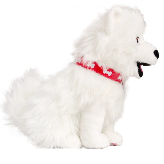 Paco de Knuffel Paco de Knuffel