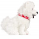 Paco de Knuffel Paco de Knuffel