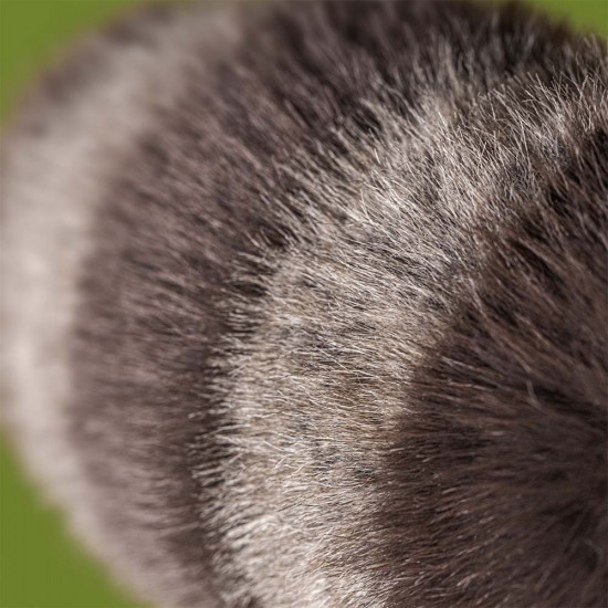 Jellycat, Trixiwoo Raccoon