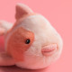 Jellycat, Fancy Carp