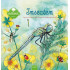 Willewete serie - Insecten