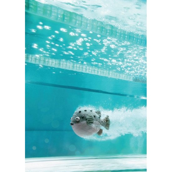 Jellycat, Pacey pufferfish Jellycat, Pacey pufferfish
