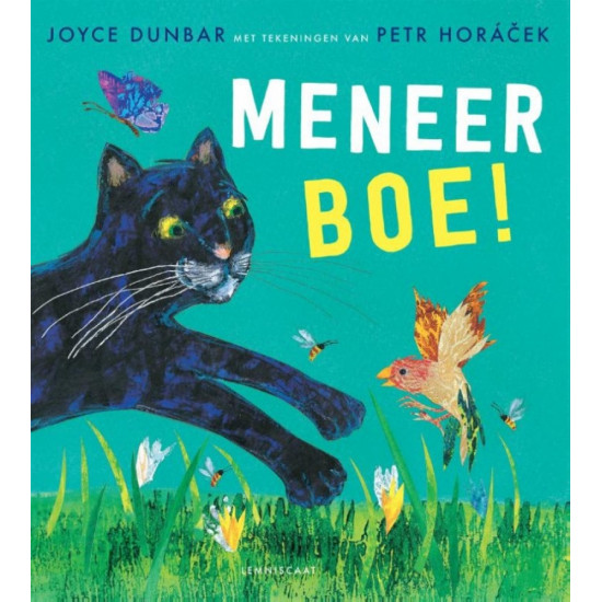 Meneer Boe! Meneer Boe!