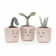 Jellycat, Silly Seedling Happy Jellycat, Silly Seedling Happy