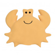 Mijn eerste oceaandiertje - Krab