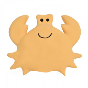 Mijn eerste oceaandiertje - Krab